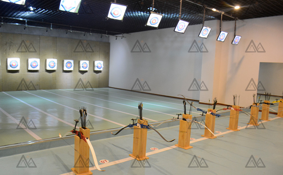 金年会-射箭馆-6