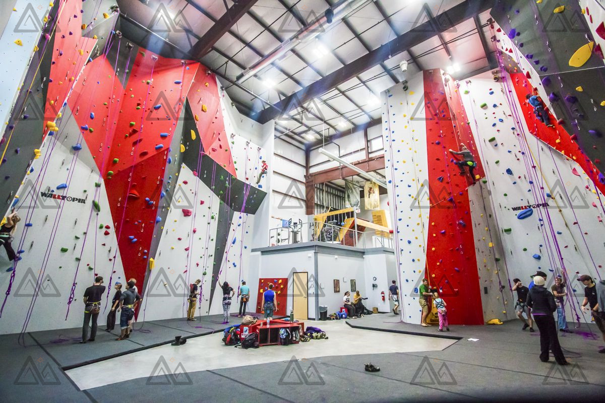 金年会-抱石攀-2